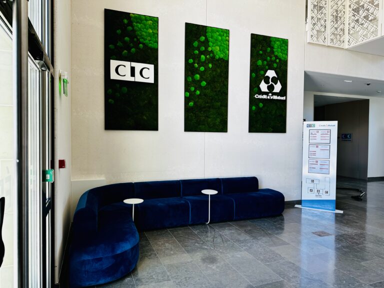 végétaliser vos bureaux
