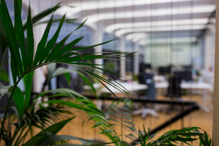 plantes & acoustique