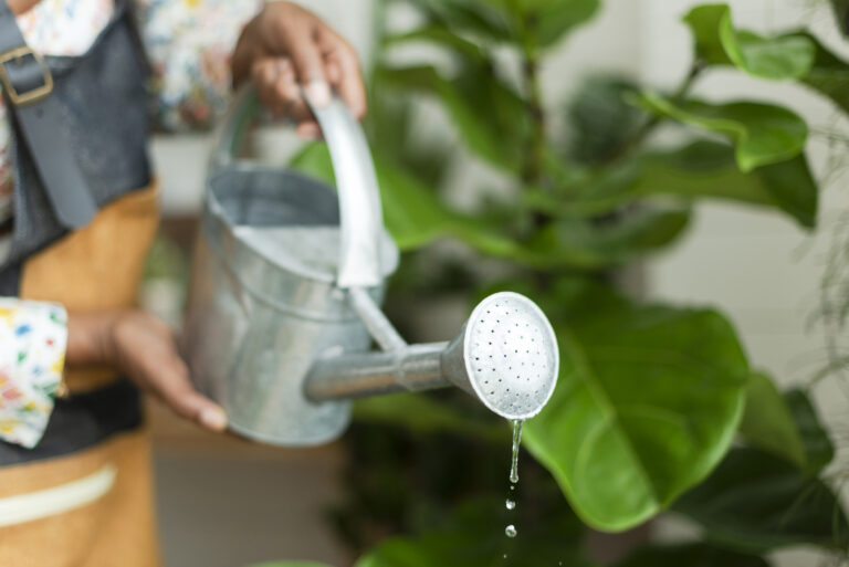 journée mondiale de l'eau