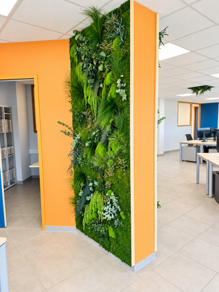 Végétalisation de bureaux chez Charignon : mur végétal stabilisé et dalle de plafond végétalisée.